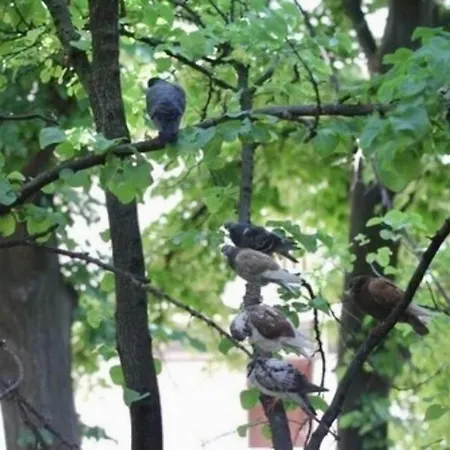 Square Gostinjska kuća 3*